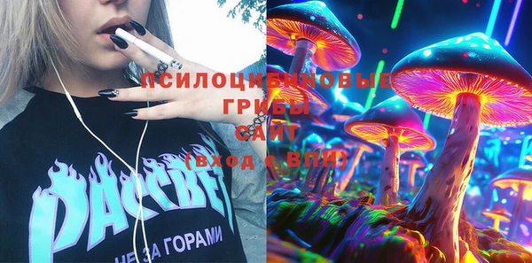 мяу мяу мука Арсеньев