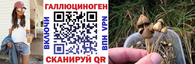 Галлюциногенные грибы Psilocybe  купить наркотики цена  Курчатов 